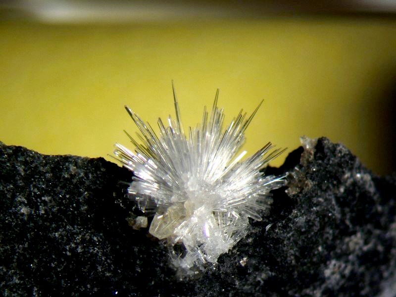 aragonite